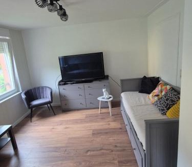 Muhlbach-sur-Bruche Apartment | Gîte du Rocher du faucon le renardeau 4 à 5 personnes