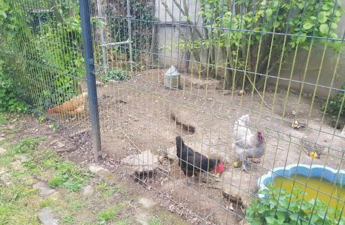 Blandainville House | Gîte du temps perdu