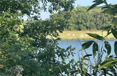 Monsireigne House | Gîte en bord de lac