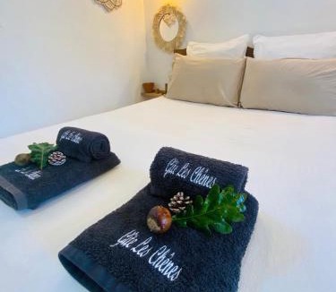 Came Ski Chalet | Gîte en Pays Basque Les Chênes Avec jacuzzi