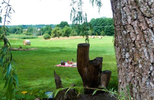 Docelles Apartment | Gîte en pleine nature