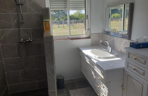 Chateauneuf-sur-Sarthe Bed & Breakfast | Gîte et Chambre d'hôte de l'élevage du Lattay