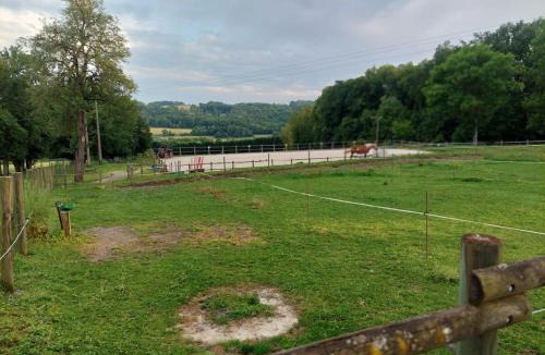 Sablonnieres Apartment | Gîte et chevaux