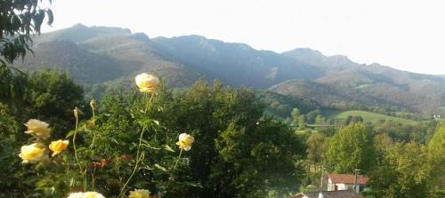 Osses Apartment | Gîte Etxe Xuri