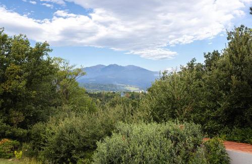 Ceret Apartment | Gîte F2, Dans Un Coin De Paradis