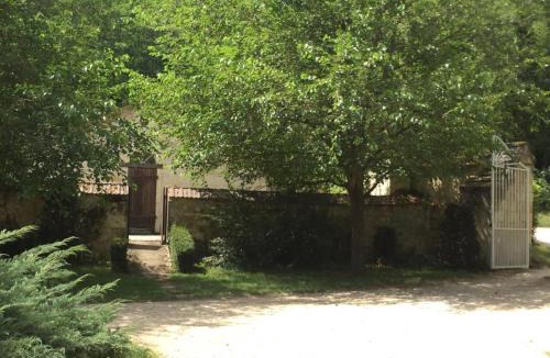 Saint-Benoit-la-Foret House | Gîte familial en forêt près de Chinon - FR-1-381-232