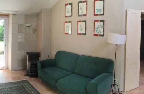 Saint-Benoit-la-Foret House | Gîte familial en forêt près de Chinon - FR-1-381-232