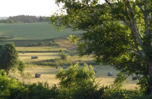 Jullianges House | Gîte familial au calme avec jeux, VTT, randonnée, près du Parc Livradois, La Chaise-Dieu et Craponne - FR-1-582-214