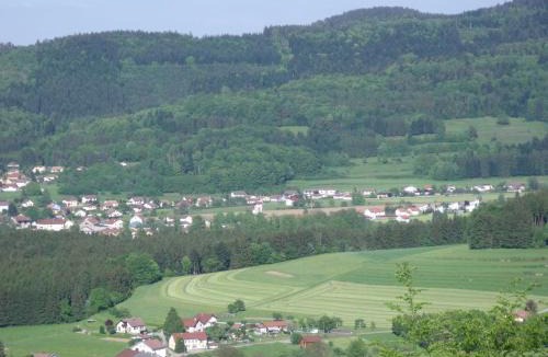 Jussarupt House | Gîte familial avec jardin, cheminée et parking à Jussarupt, près de Gérardmer - FR-1-589-320