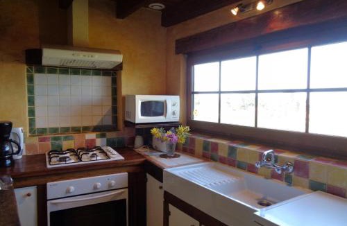 Saint-Haon-le-Chatel House | Gîte familial à Saint-Haon-le-Châtel avec piscine et animaux admis - FR-1-496-21
