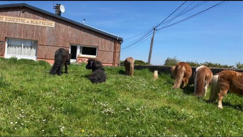 Haudricourt House | Gîte familiale au cœur d un centre équestre