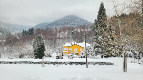 Raon-sur-Plaine Apartment | Gîte forestier du Moulin (10 pers)