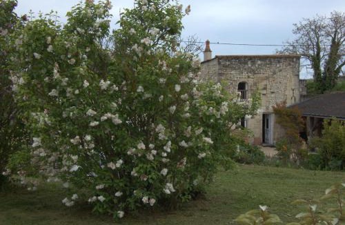 Saint-Leger-de-Montbrillais House | Gîte Val de Loire "L'instant détente"