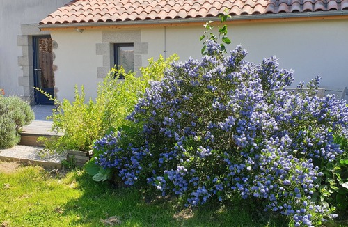 Saint-Martin-du-Fouilloux Cottage | Gîte le Sureau