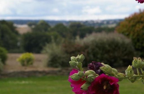 Cleguerec House | Gîte Ginou Daniel Lintevert