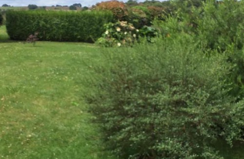 Cleguerec House | Gîte Ginou Daniel Lintevert