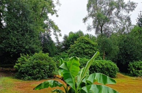 Conteville House | Gîte Hydra Charme & Nature in Normandy