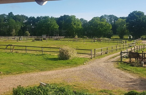 Sainte-Croix-sur-Orne Other | Gîte in a small Normandy stud farm