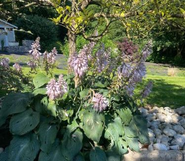 Attin Apartment | gîte Joséphine