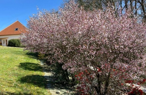 Coarraze Villa | Gîte Kojonomai Pyrénées