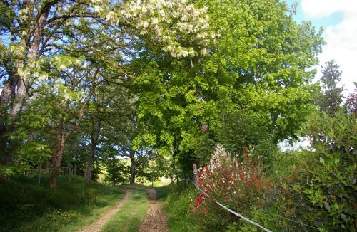 Betplan House | Gîte l'appel de la Forêt