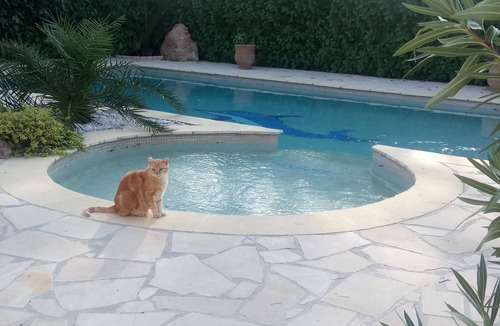 Flayosc Cottage | Gîte l'olivade For 4 pers private pool