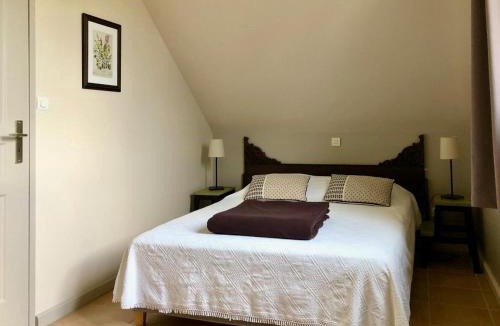 Mazieres-de-Touraine House | Gîte L'Orée du Bois : Charme Rural & Animaux Admis - FR-1-381-200