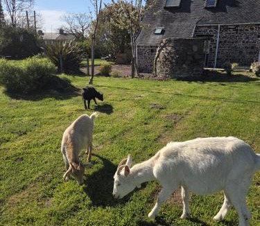 Ver House | Gîte la belle etoile proche de Granville
