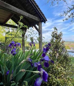 Martel House | Gîte La Blanchie Haute
