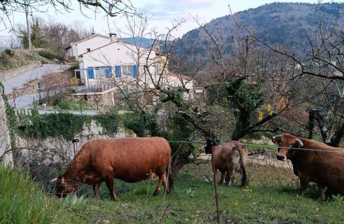 Lamastre House | Gîte la côte des bleuets de Retourtour