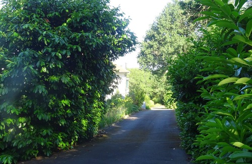 Saint-Genest Apartment | Gîte la clef de voûte améthyste