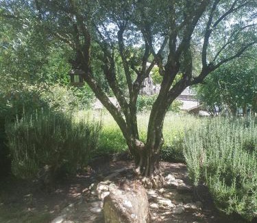 Chatuzange-le-Goubet House | Gîte La Ferme De Musan