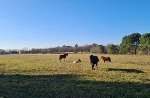 Thoree-les-Pins House | Gîte La Gouletterie classé 3* avec piscine