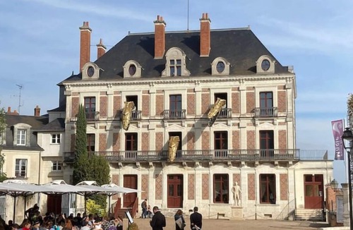 Saint-Laurent-Nouan House | Gîte "La Grande Maison"