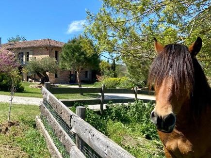 Saussens House | Gîte La Maison Mélomane 10 personnes