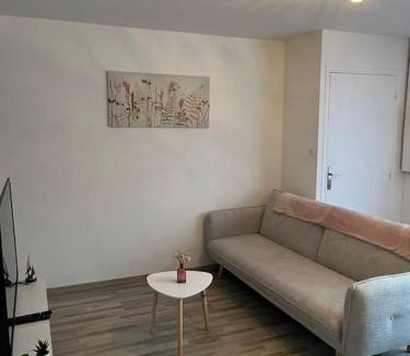 Orchies Apartment | Gîte la perle rose 50 m²