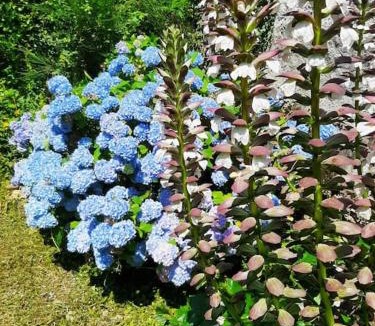 Soulan House | Gîte la petite maison