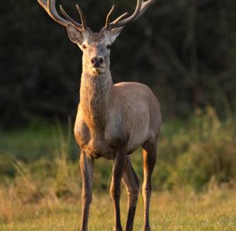 Arthon House | Gîte La Petite Roche