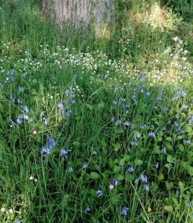 Arthon House | Gîte La Petite Roche