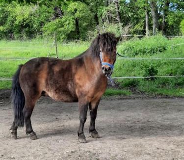 Arthon House | Gîte La Petite Roche