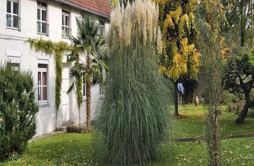 Wargnies-le-Grand House | Gîte La Riviera