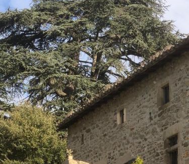 Beauchastel Apartment | Gîte Le Cèdre