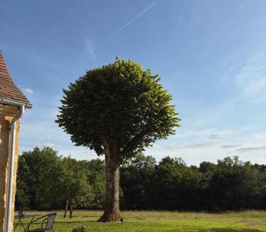 La Chapelle-Aubareil House | Gîte Le Clouvillou