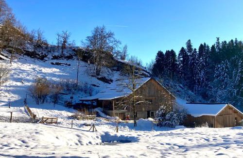 Vennes Apartment | Gîte le creux de vennes
