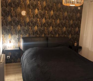 Epinal Apartment | Gîte LE JARDINIER