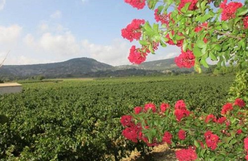 Pompignan House | Gîte "le Mas du Parterre"