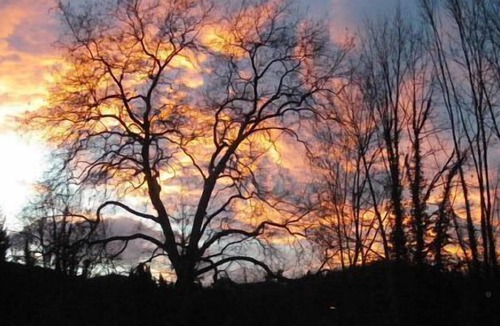 Fougax-et-Barrineuf Cottage | Gîte "Le Montségur" for 2 people