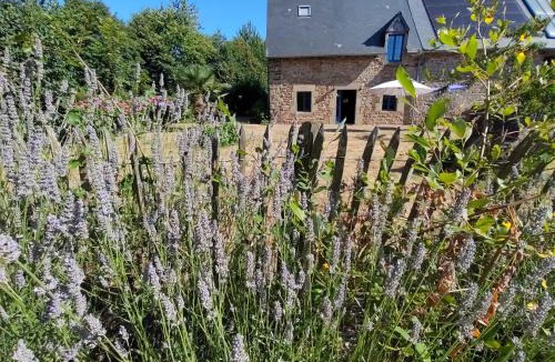 Trans-la-Foret House | Gîte Le Petit Menhir