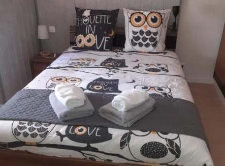 Wingen-sur-Moder Apartment | Gîte Le Repos du Verrier