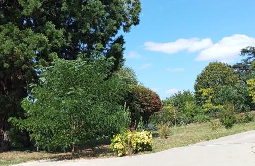 Airvault Bed & Breakfast | gîte Le Sequoia